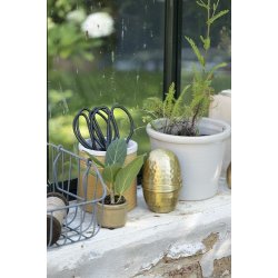 Ib Laursen Pskeg Carolina NON FOOD hamret mnster