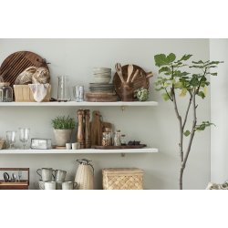 Ib Laursen - Peberkvrn akacietr