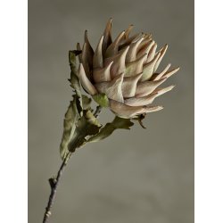Bloomingville Protea Kunstig stilk, Natur, Plastik