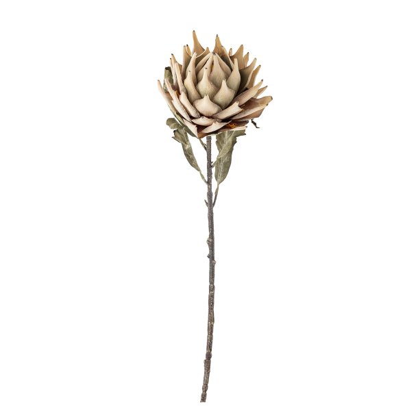 Bloomingville Protea Kunstig stilk, Natur, Plastik