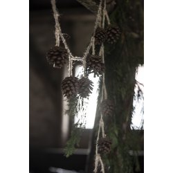 Ib Laursen Ranke med 10 kogler