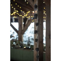 Ib Laursen Ranke med 10 kogler