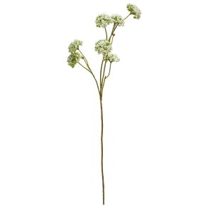 Speedtsberg  Stilk 73 cm