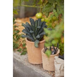 Ib Laursen - Saks lille 10,5cm.