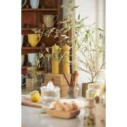 Ib Laursen - Salt &amp; peberkvrn mustard st