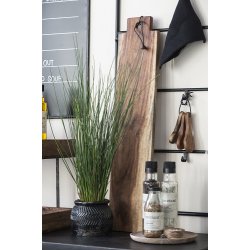 Ib Laursen Skeer st a 3 olieret akacietr