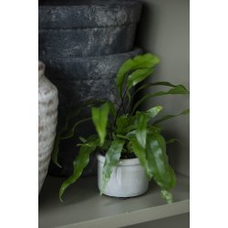 Ib Laursen Skjuler mini Hilda krakeleret glasur stvgrn