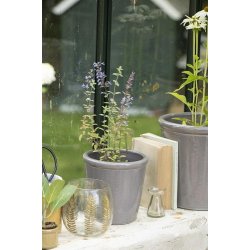 Ib Laursen - Stage til fyrfadslys blad i glas