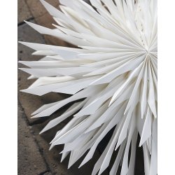 House Doctor Stjerne, Reef, Rhvid dia. 50 cm.