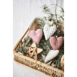 Ib Laursen Stjerne lille Cane 