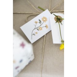 Ib Laursen - Til/fra kort 8 ass. flora 