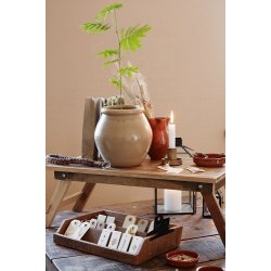 Ib Laursen Til og fra kort 8 ass Fading Fauna 