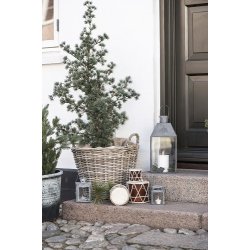 Ib Laursen Tromme mrkebrun 7 cm hj 