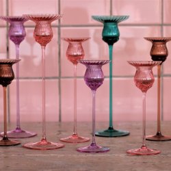 Anna von Lipa Tulipn stage 20 cm, Rosa