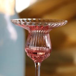 Anna von Lipa Tulipn stage 20 cm, Rosa