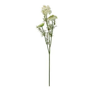 Speedtsberg Vildt Gulerod Stilk 73 cm