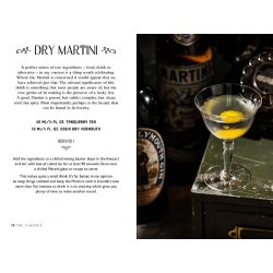 BARTENDER'S GUIDE TO GIN - 