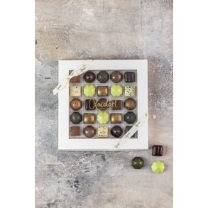 Xocolatl - Christiansfelder star 25  