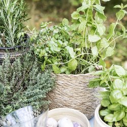 House Doctor - Kurv, Hang - Natur 