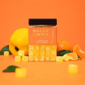 Wally & Whiz Kvde med Clementin, 240g