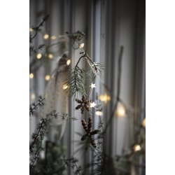 Ib Laursen Lyskde med 40 stjerner udendrs og timer 6/18