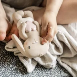 Lille Kanin - MIO KANIN Lyserd Sanselegetj